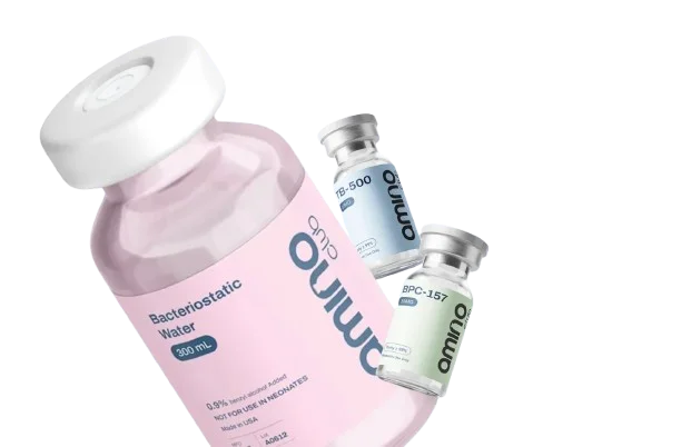 amino club